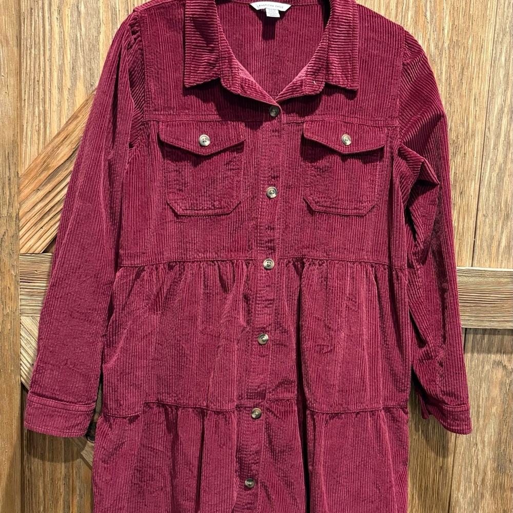 American Eagle Outfitters Burgundy Corduroy Dress - Picture 5 of 8